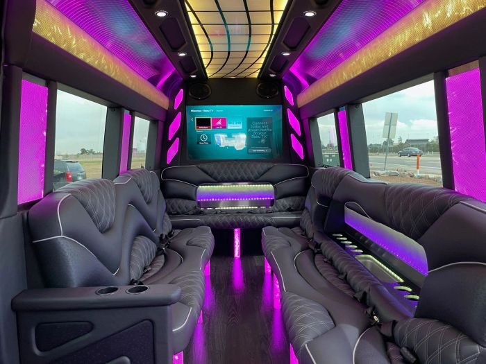 Sprinter limo lounge with TV – Mead limo service